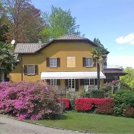 GigneseIl Gelsomino住宿加早餐旅馆 外观 照片